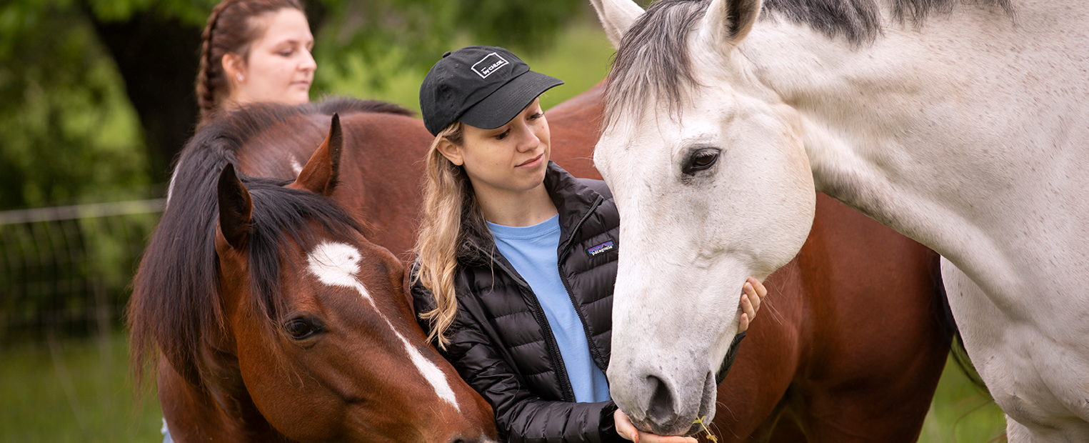 Equine Freedom-Reigns large