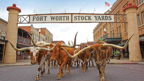 Fort Worth Stockyards