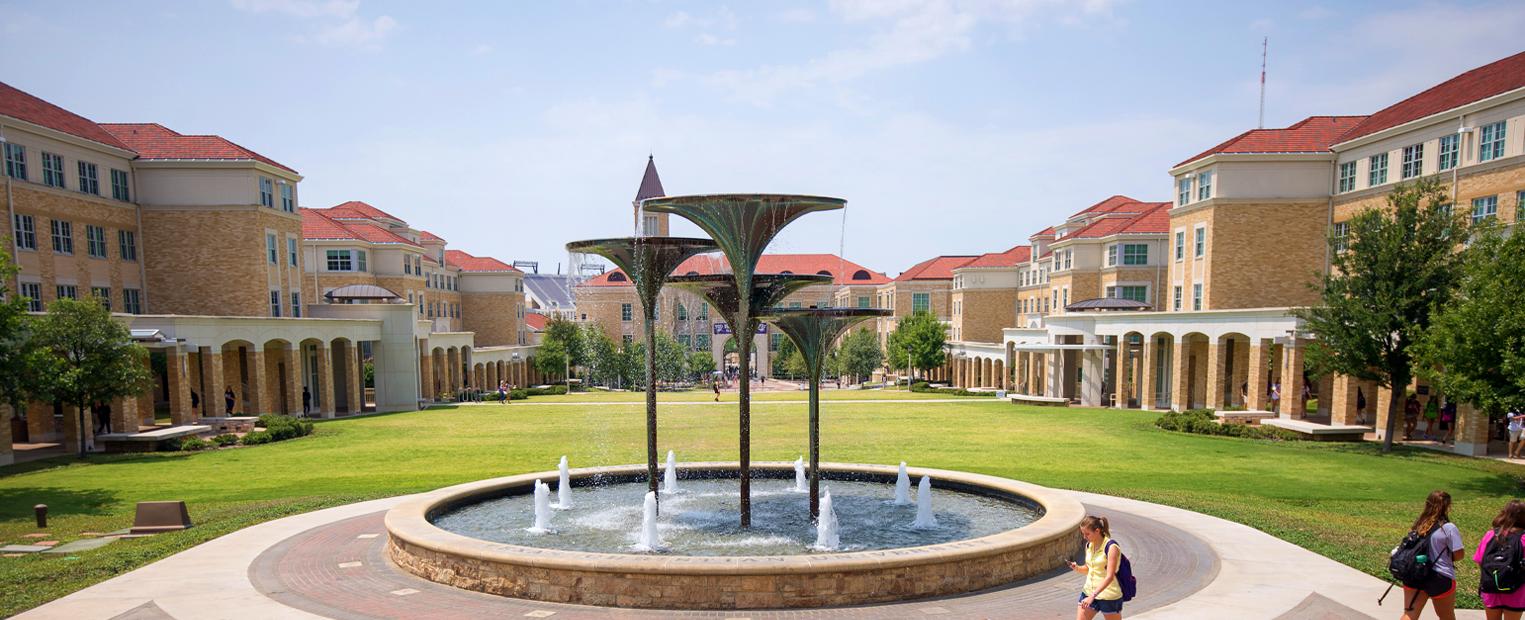 "Really green grass" around frog fountain