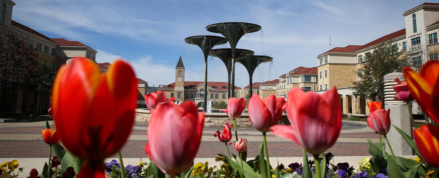 Tulips blooming with frog fountain in the background