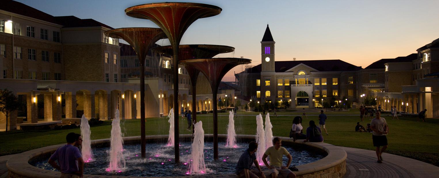 frog fountain and the commons at night