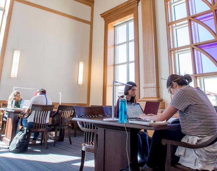 Male and female students studying in Rees-Jones 