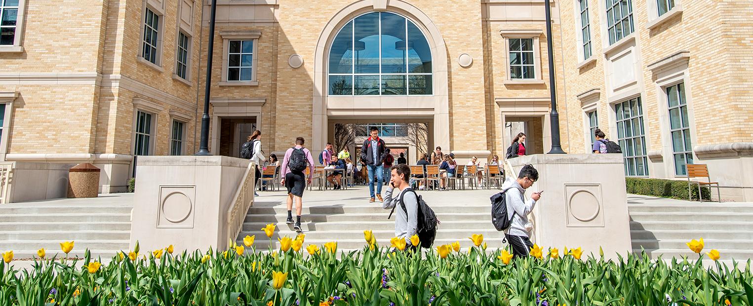 Students near library 