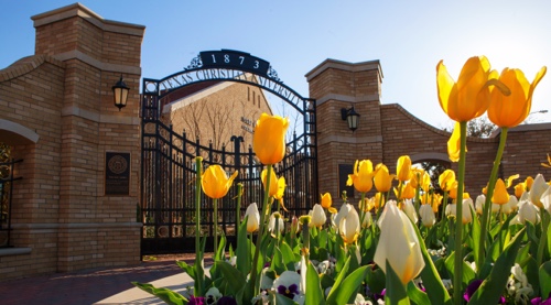 Gates near admission building